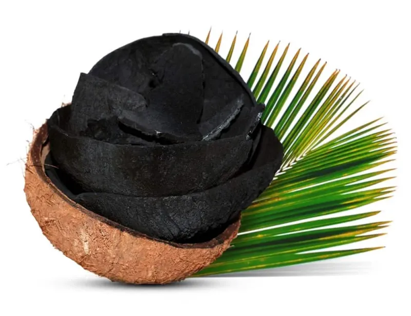 Coconut shell BBQ