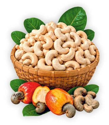 Fresh Cashew Nuts - Thumbnail 1
